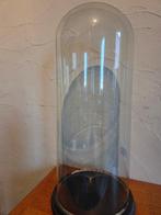 Globe - stolp - antiek - 1901-1920 - Antieke ronde stolp