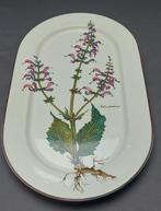Villeroy & Boch - Dienblad - Plantkunde - Keramiek, Antiek en Kunst