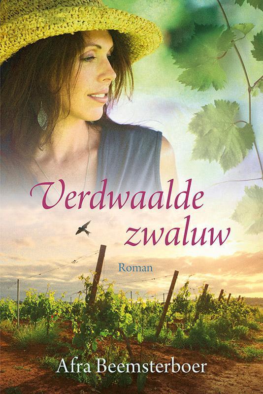 Verdwaalde zwaluw 9789401904506 Afra Beemsterboer, Boeken, Streekboeken en Streekromans, Gelezen, Verzenden
