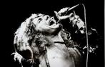 Ronald van Caem, studio Gijsbert Hanekroot - Robert Plant,, Antiek en Kunst