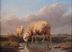 Heidelandschap met ooi en lammetje drinkend uit een plas, Antiek en Kunst, Kunst | Schilderijen | Klassiek, Ophalen