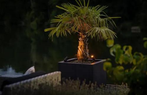 Prikspot | Castor Smart | 12V | Default, Tuin en Terras, Buitenverlichting, Ophalen of Verzenden