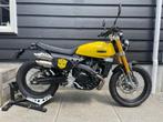 Fantic | Caballero 500 Scrambler | Bumblebee | Nieuw, Motoren, Motoren | Overige merken, Fantic, 1 cilinder, 12 t/m 35 kW, Naked bike