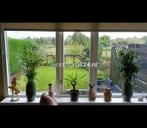 Woningruil - Orchideestraat 271 - 3 kamers en Groningen, Huizen en Kamers, Woningruil, Groningen