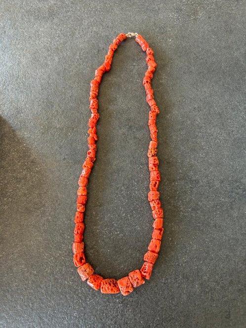 Bloedkoraal Koraal - Corallium rubrum (Zonder Minimumprijs), Verzamelen, Dierenverzamelingen