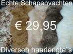 Schapenvacht OPRUIMING € 29,95 100% ECHTE schapenvel  NIEUW, Ophalen of Verzenden, Nieuw