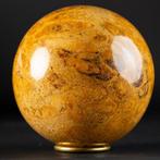 Een Exclusieve Jurassic Koraal - Koraal - Large Fossil Coral, Verzamelen, Mineralen en Fossielen