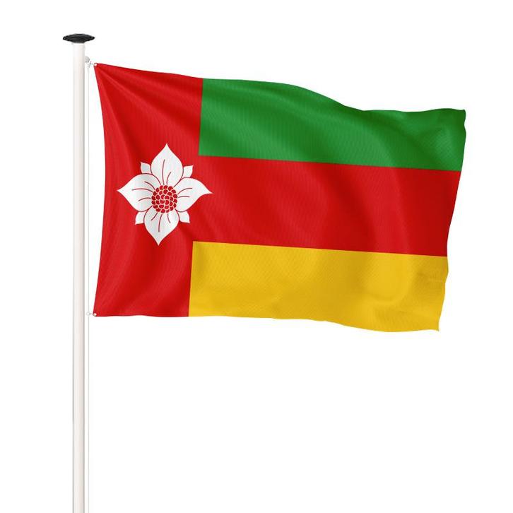 Vlag Tynaarlo 150x225cm (voor masten 6 en 7 meter), Diversen, Vlaggen en Wimpels, Nieuw