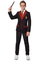 Harry Potter Pak Jongen Gryffindor, Kinderen en Baby's, Carnavalskleding en Verkleedspullen, Nieuw, Verzenden