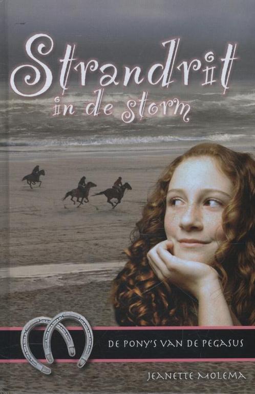 Strandrit in de storm / De ponys van de Pegasus / 6, Boeken, Kinderboeken | Jeugd | 10 tot 12 jaar, Gelezen, Verzenden