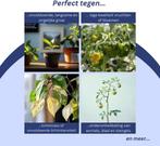 2dekans | a sunny day 600 Watt LED groeilamp - kweeklamp -, Tuin en Terras, Kweekspullen, Ophalen of Verzenden, Zo goed als nieuw