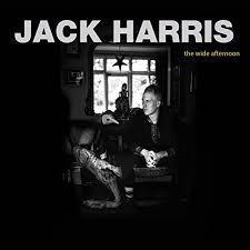 cd digi - Jack Harris - The Wide Afternoon, Cd's en Dvd's, Cd's | Overige Cd's, Zo goed als nieuw, Verzenden