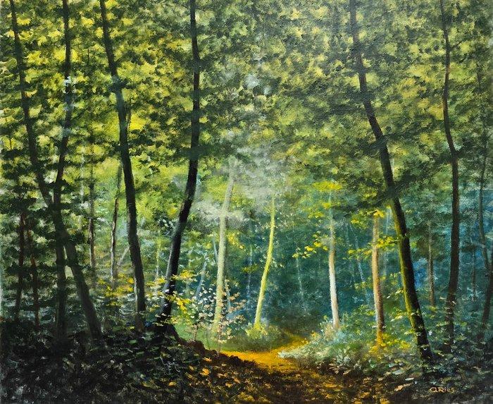 Ángel Ries (1943) - Refugio verde, Antiek en Kunst, Kunst | Schilderijen | Klassiek