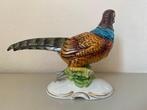 Capodimonte - Figuur - Fagiano in porcellana Capodimonte -
