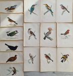 Francis Orpen Morris / Benjamin Fawcett - Lot of 30 plates