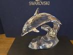 Swarovski - Beeldje - Dolphin - 190365 - Kristal, Antiek en Kunst, Curiosa en Brocante