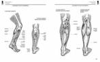 Anatomie Tekenen, Boeken, Ophalen of Verzenden, Nieuw