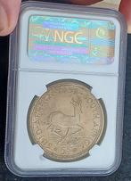 Zuid-Afrika. 5 Shilling 1953 Prooflike Springbok Elizabeth