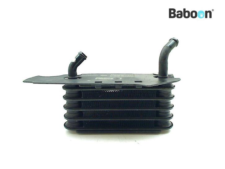 Oliekoeler BMW R 1150 R Rockster (R1150R) Right, Motoren, Onderdelen | BMW, Gebruikt, Verzenden