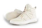 Palpare Sneakers in maat 36 Grijs | 10% extra korting, Kleding | Dames, Verzenden, Grijs, Palpare, Sneakers of Gympen