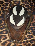 Zwarte beer Bot - Ursus americanus - 5 cm - 16 cm - 26 cm-, Verzamelen, Nieuw