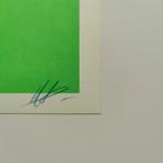 Takeru Amano (1977) - ICONS Green + Artbook, Antiek en Kunst, Kunst | Schilderijen | Modern