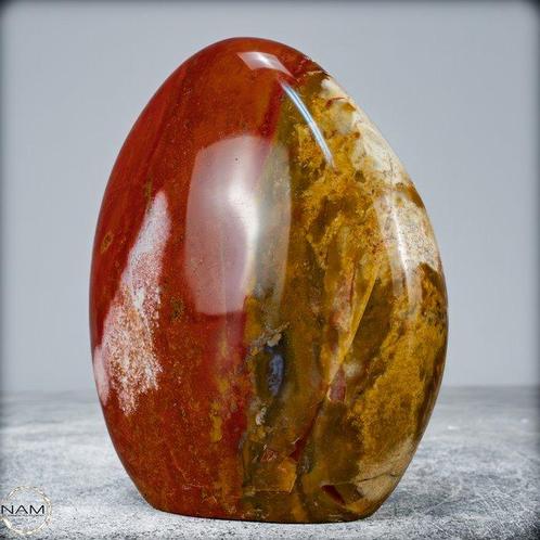 Vrije vorm van versteend hout handgepolijst- 834.34 g, Verzamelen, Mineralen en Fossielen