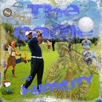 Luc Best - Tiger Woods - Game of Humility, Verzamelen, Overige Verzamelen, Nieuw