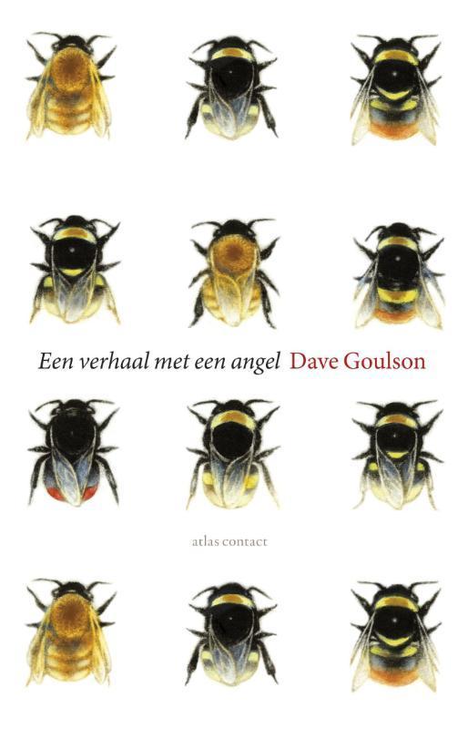 Een verhaal met een angel 9789045026404 Dave Goulson, Boeken, Wetenschap, Zo goed als nieuw, Verzenden