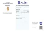 Geen reserve — ALGT-gecertificeerd — Grote natuurlijke jade, Verzamelen