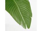 Mica Decorations Kunstplant Bananenboom in Pot - H180 x Ø30, Huis en Inrichting, Kamerplanten, Verzenden