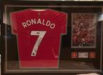 Manchester United - Premier League - Cristiano Ronaldo -, Nieuw