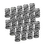 Supertech BMW M50/M52/S50/S52 Dual Valve Spring - Set of 24, Auto-onderdelen, Motor en Toebehoren, Ophalen of Verzenden, Nieuw