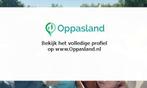 Gabrille zoekt een oppas in Hierden voor 2 kinderen op do...