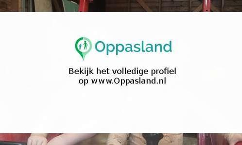 Roos zoekt een oppas in Schalkwijk., Vacatures, Vacatures | Onderwijs, Wetenschap en Onderzoek