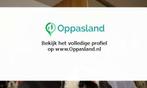 Ik ben Vera, 21 jaar oud en ik zoek oppaswerk in Strijen.
