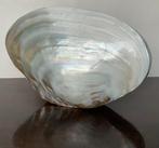 Sieradendoos - Schelp