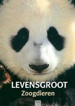 Zoogdieren / Clavis informatief 9789044820003, Boeken, Verzenden, Gelezen, Takayuki Maekawa