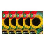 Bloemzaden zonnebloem | VT | 5 stuks, Verzenden