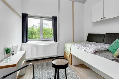 Studio Van Embdenstraat in Delft, Huizen en Kamers, Kamers te huur, 20 tot 35 m², Delft