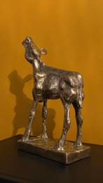 Beeld, Gouden Kalf - 3,6 kg - 33 cm - Brons, Antiek en Kunst, Curiosa en Brocante