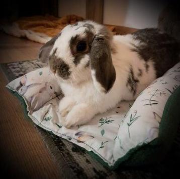 Bunny Snuggle Hop en Flop bed voor konijn NIEUW HANDGEMAAKT beschikbaar voor biedingen