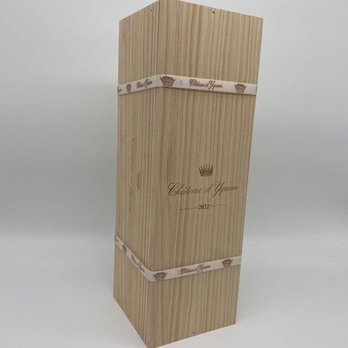 2022 Château dYquem - Sauternes 1er Cru Supérieur - 1, Verzamelen, Wijnen