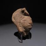 Maya Terracotta Hoofd. ca. 600 - 900 na Christus. Hoogte 5,4