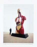 Damien Hirst (1965) - Hymm - Artprint - 35 x 28 cm - Tate