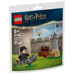 LEGO Harry Potter 30706 Zwerkbal Les, Verzenden, Nieuw