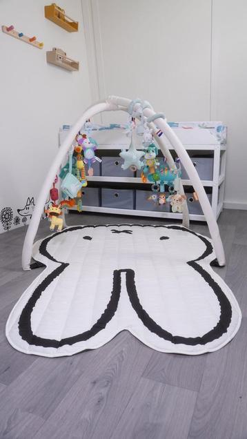 abdl grote maten XL speel gym beschikbaar voor biedingen