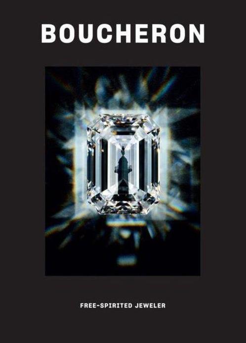 9781419734908 Boucheron anita coppet, Boeken, Studieboeken en Cursussen, Nieuw, Verzenden