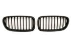 Grille geschikt voor BMW 5-Serie F10 en F11 enkele spijl gla, Ophalen of Verzenden, Nieuw