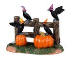 Halloween Crows, Verzenden, Nieuw